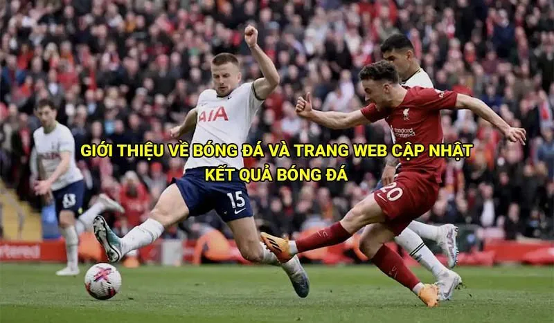 Giới thiệu về bóng đá và trang web cập nhật kết quả bóng đá